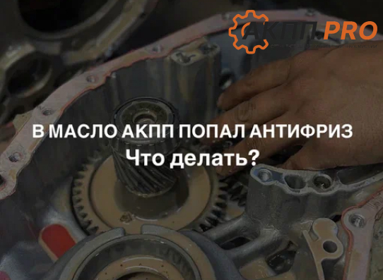 Антифриз в масле АКПП — что делать?